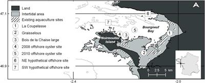 Remote Sensing-Driven Pacific Oyster (Crassostrea gigas) Growth Modeling to Inform Offshore Aquaculture Site Selection